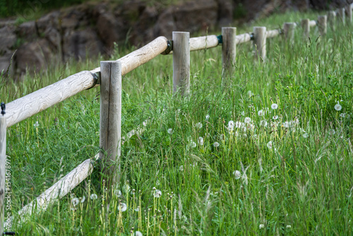 wooden cattle barrier, Sorteny Valley Natural Park, Ordino district, Andorra, Europe