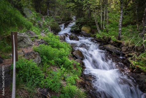 Estanyó river through the forest, Sorteny Valley Natural Park, Ordino district, Andorra, Europe