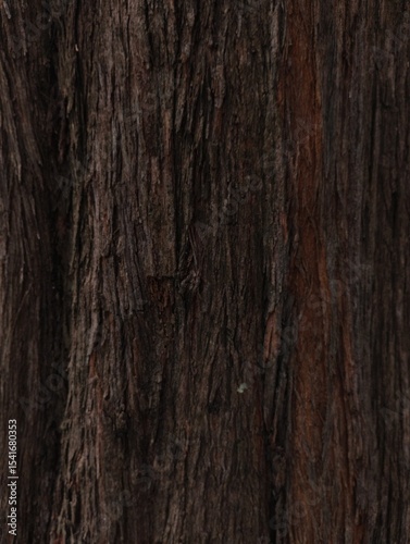The bark's surface texture is revealed in this photo, showcasing a rough, dark brown hue with distinct grooves and cracks that hint at its natural aging.
