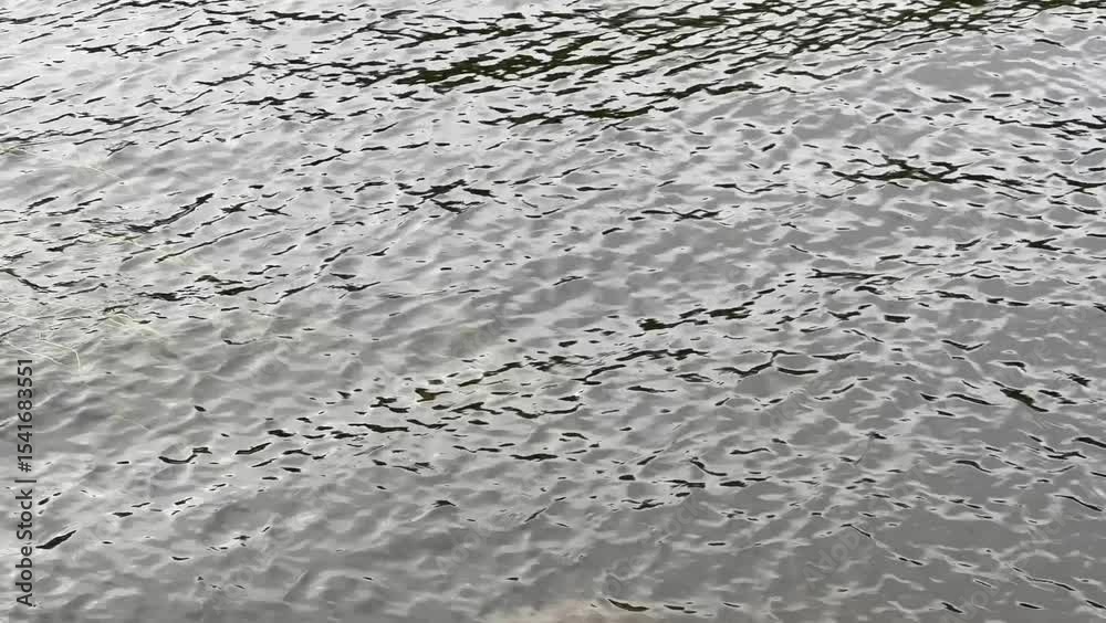 Texture background of waves, rivers, lakes. Movement. Texture background of waves, rivers, lakes. Movement.