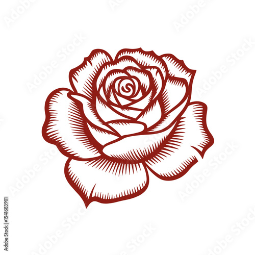 Detailed illustration of a red rose with intricate petal design showcasing elegance and beauty in floral art