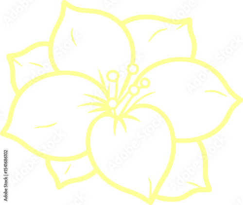 jasmine vector flower illustration transparent pattern 
