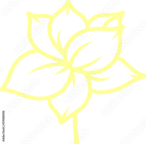 jasmine vector flower illustration transparent pattern 