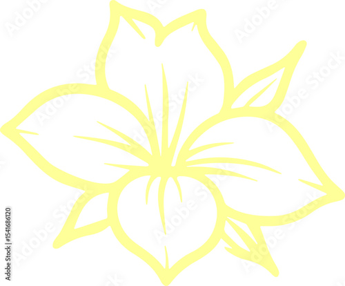 jasmine vector flower illustration transparent pattern 