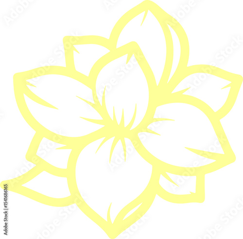 jasmine vector flower illustration transparent pattern 