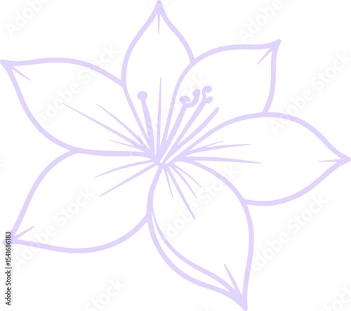 jasmine vector flower illustration transparent pattern 