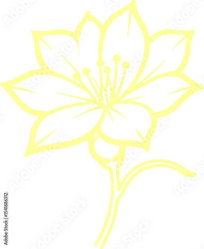 jasmine vector flower illustration transparent pattern 