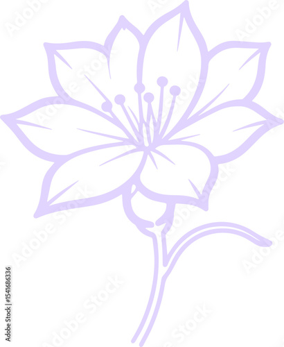 jasmine vector flower illustration transparent pattern 