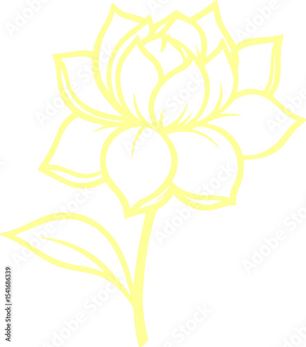 jasmine vector flower illustration transparent pattern 
