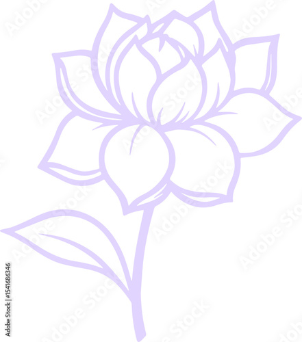 jasmine vector flower illustration transparent pattern 