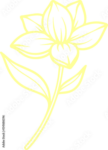 jasmine vector flower illustration transparent pattern 