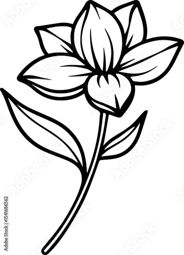 jasmine vector flower illustration transparent pattern 