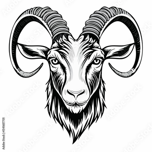 Goat Face Vector. Angry goat head vector illustration on white background.