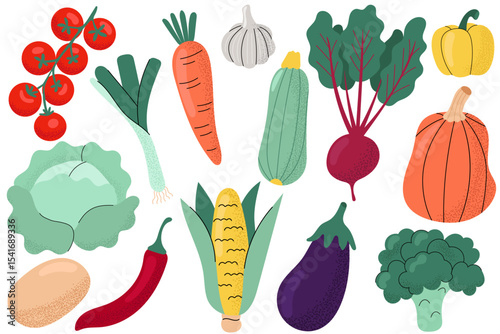 Set of colorful vegetables in flat style. Hand drawn healthy food collection including tomato, carrot, eggplant, garlic, corn, zucchini, pumpkin, beetroot, pepper, potato, leek, broccoli, and cabbage.