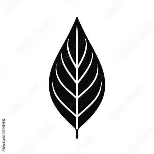 Leaf Pointed Tip And Central Vein Outline Vector Illustration