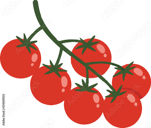 Vibrant Bunch of Cherry Tomatoes Freshly Picked from the Garden Ready to be Used in Cooking and Salads