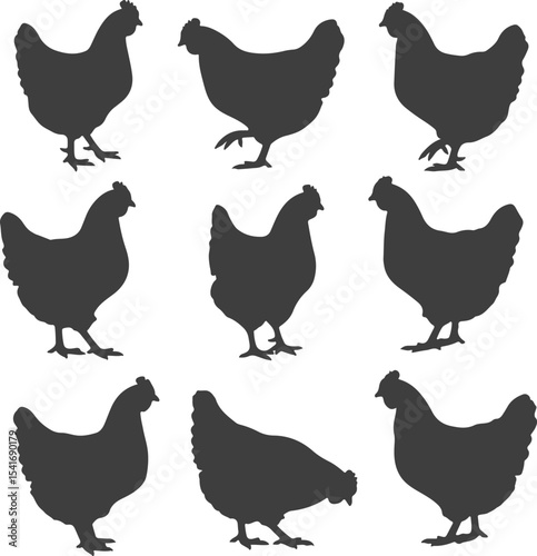 Silhouette Farmyard Fowl A Collection of Chicken Silhouettes Depicting Various Poses and Angles for Graphic Design and Illustration Projects