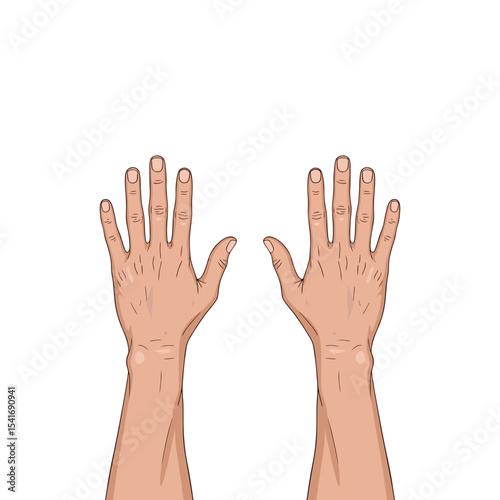 vector of a pair of human hands on a white background