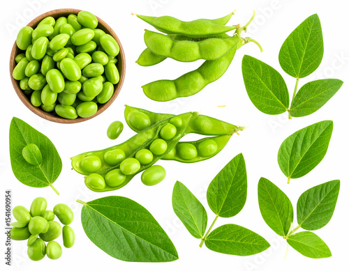Wallpaper Mural Edamame Pods and Leaves Fresh and Green Soybeans, a Healthy Legume with Vibrant Greenery Torontodigital.ca