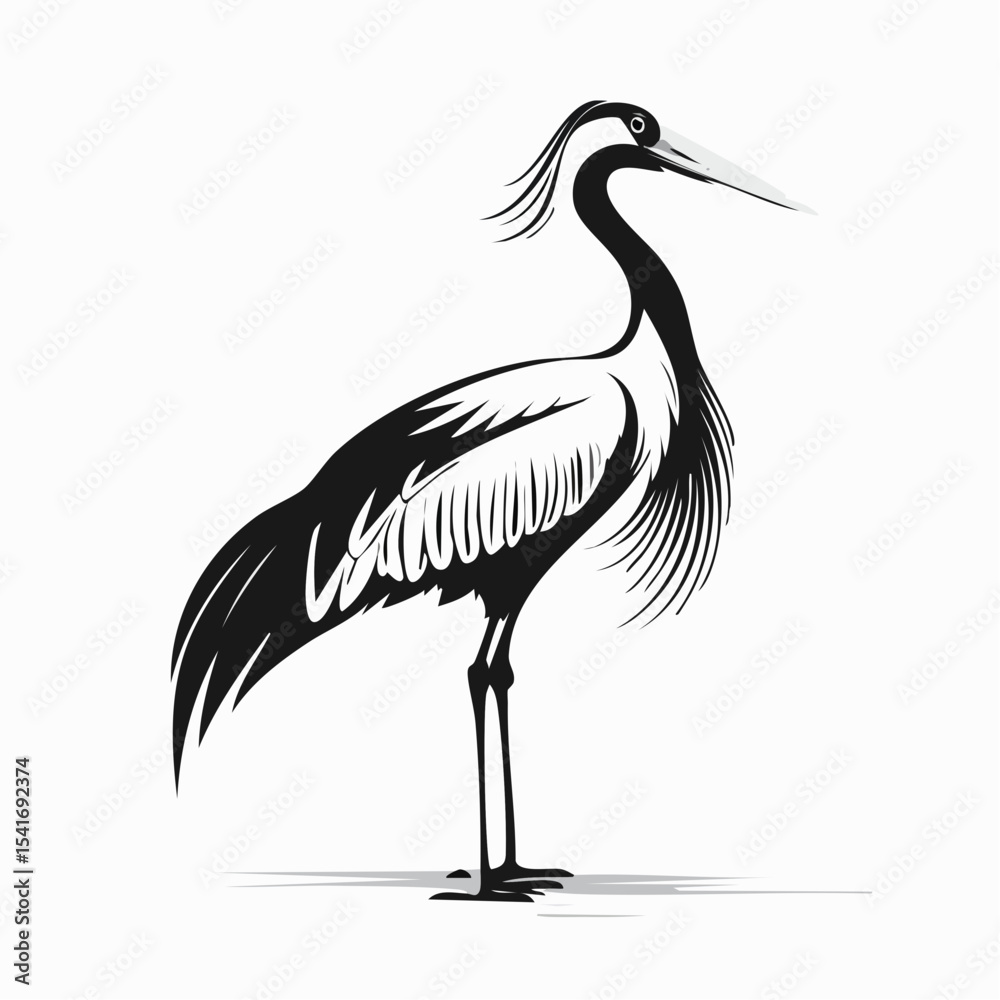Obraz premium Crane Bird Vector Images. Majestic Crane Stork Images isolated on white background