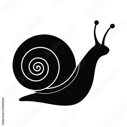 Snail Spiral Shell And Curved Body Outline Vector Illustration
