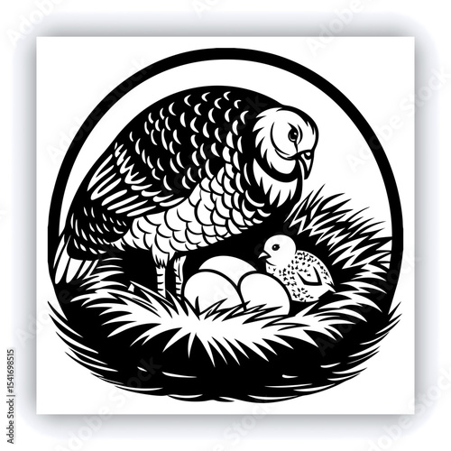 A mature, gray and white turkey hen is centered in a nest of straw. She is brooding over three eggs, with two small, light yellow chicks visible near the eggs. The turkey is positioned in a slightly c