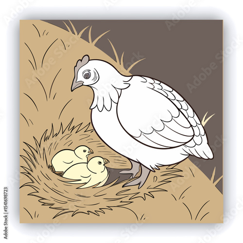 A mature, gray and white turkey hen is centered in a nest of straw. She is brooding over three eggs, with two small, light yellow chicks visible near the eggs. The turkey is positioned in a slightly c