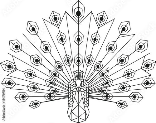 Minimal peacock vector with open feathers in geometric style. Elegant shapes on clean white background.