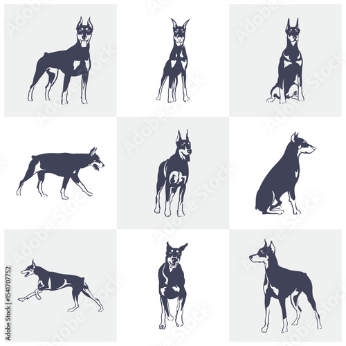 Set of Doberman Dog logo design vector. Template Illustration. Icon Symbol
