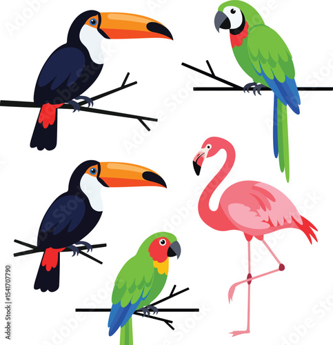 et of tropical birds (toucan, parrot, flamingo) sitting on simple branches. Flat vector style, bright colors, minimal detail, white background
