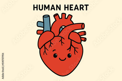 Cute cartoon illustration of a human heart anatomy