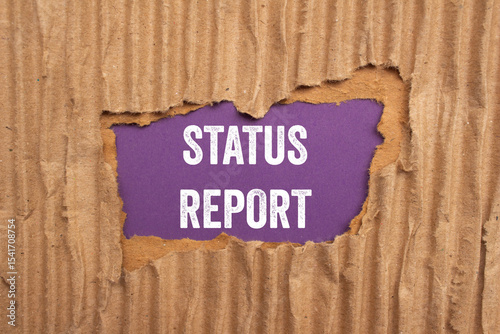 Status report message written on ripped torn cardboard paper on purple background. Conceptual status report symbol. Copy space.