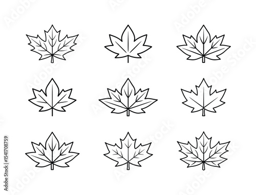 Maple leaf outline vector illustration on white background