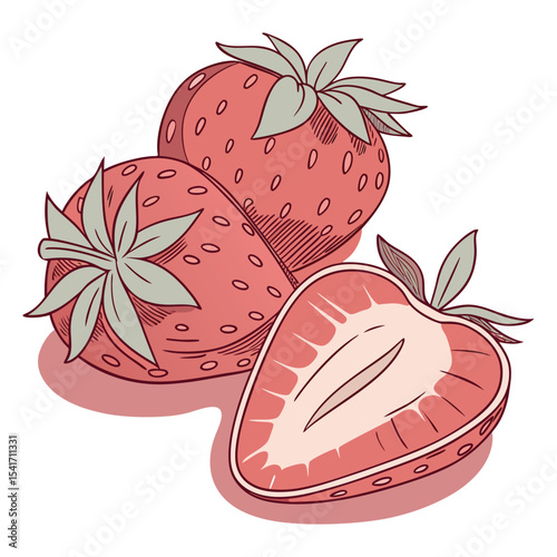 Illustration of two whole strawberries and one halved strawberry. Perfect for organic branding, botanical prints, packaging design, kitchen wall art, recipe books, skincare labels, and logo design.