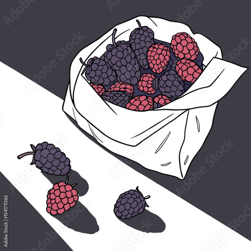 Blackberries and raspberries in a paper bag. Perfect for organic branding, botanical prints, packaging design, kitchen wall art, recipe books, skincare labels, and logo design.