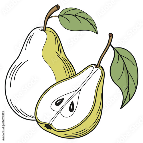 Illustration of pears whole and halved with leaves. Perfect for organic branding, botanical prints, packaging design, kitchen wall art, recipe books, skincare labels, and logo design.