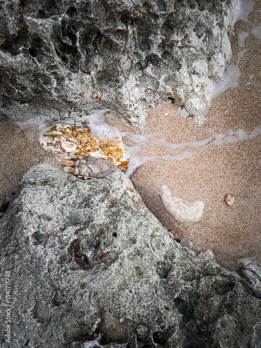 Coastal rocks and sea water as a natural background.