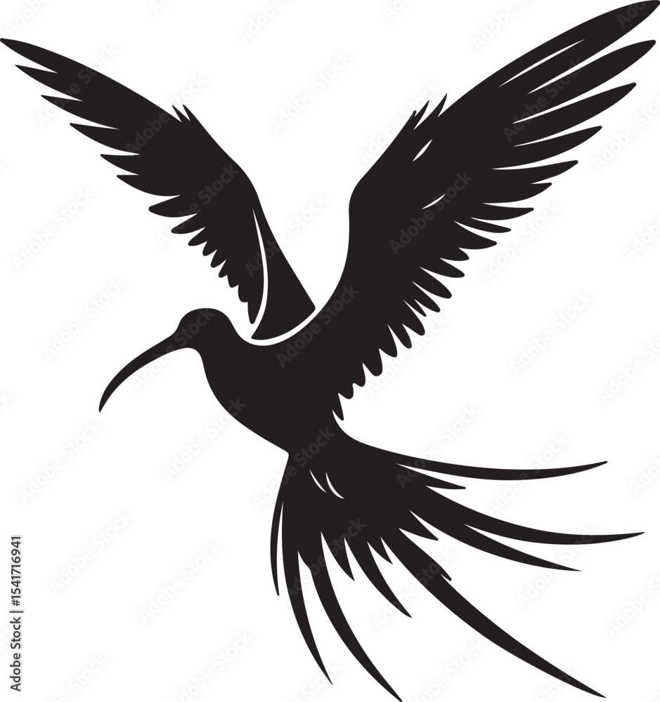 Fototapeta premium A silhouette frigate bird vector