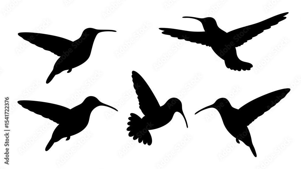 Fototapeta premium humming bird silhouette vector illustration on tranparent background