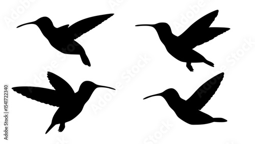 humming bird silhouette vector illustration on tranparent background