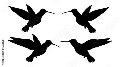 humming bird silhouette vector illustration on tranparent background