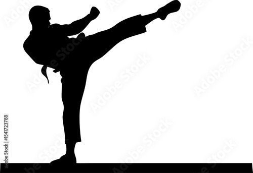 Martial Arts Kick Silhouette - Dynamic Karate Vector Illustration