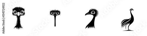Set of black icons depicting various bird silhouettes with unique features and expressions