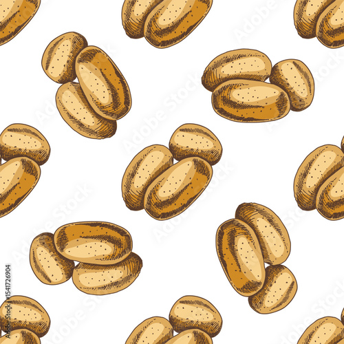 Hand drawn vintage seamless pattern of raw potatoes in brown and beige color on white background, isolated vector illustration