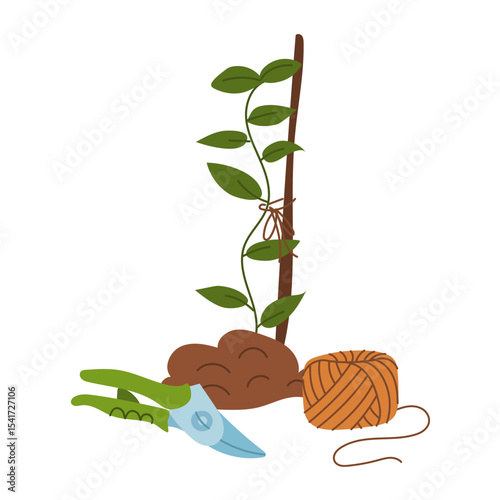 pruning shears, twine, and plant tied to a stick. Seasonal work. Gardening tools. Flat color illustration. It is suitable for the design of articles and educational materials on gardening and hobbies