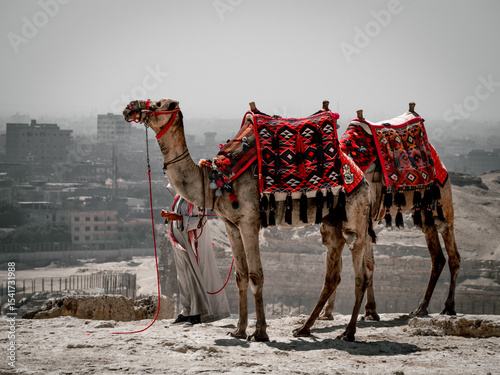 Africa, Egypt, Cairo city, Giza, Giza pyramids. Three pyramids, sphinx, statue, saqqara pyramid, mostaba tombs. Valley of the Kings, ancient city of Memphis. drawings, hieroglyphs, writings. Bazaar, c