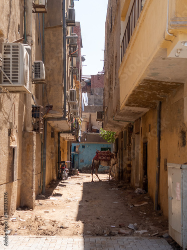 Africa, Egypt, Cairo city, Giza, Giza pyramids. Three pyramids, sphinx, statue, saqqara pyramid, mostaba tombs. Valley of the Kings, ancient city of Memphis. drawings, hieroglyphs, writings. Bazaar, c