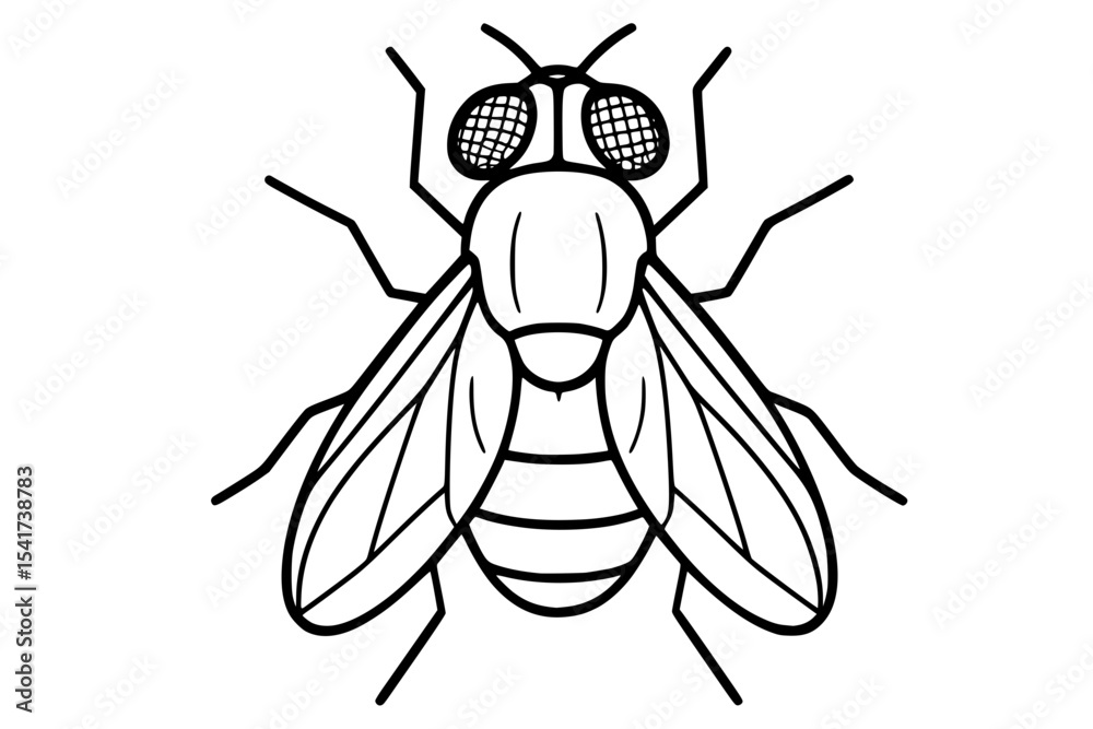 Fototapeta premium Vector Fly Insect Drawing
