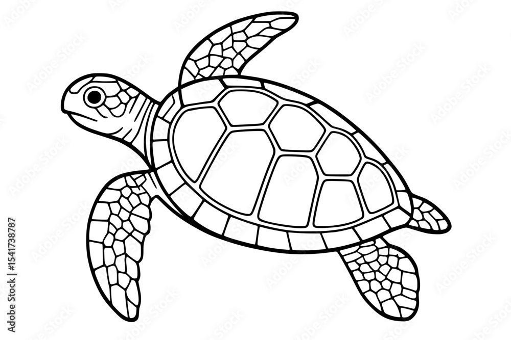 Fototapeta premium Vector Sea Turtle Line Drawing