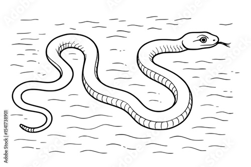 Sidewinder Snake Outline Vector Illustration